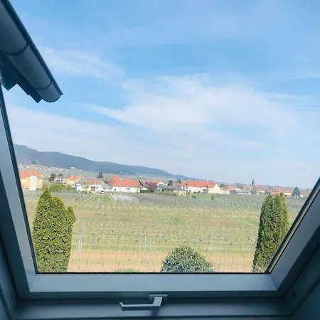 Bellavista, Deutsche Weinstrasse Sud, Germany Apartment Bochingen